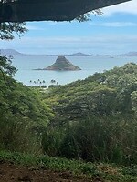 IMG_1039