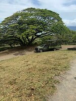IMG_1054
