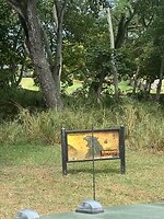 IMG_1055