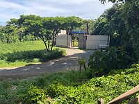 IMG_1091
