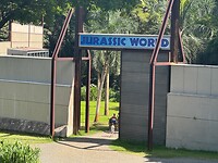 IMG_1093