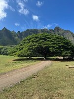 IMG_1099