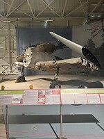 IMG_1255