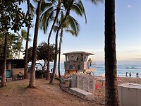 IMG_0379