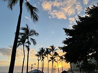 IMG_0380