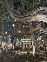 IMG_1291
