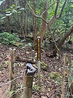 IMG_1358