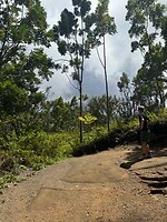 IMG_1359