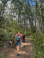 IMG_1360