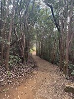IMG_1361