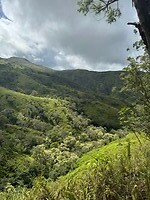 IMG_1363