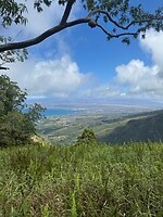 IMG_1365