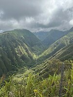 IMG_1368