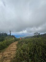 IMG_1371