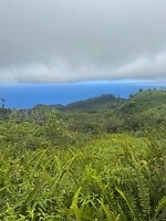 IMG_1377