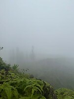IMG_1378