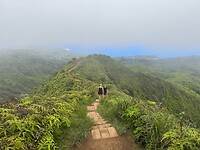 IMG_1388