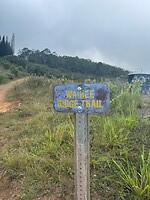 IMG_1392