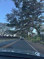 IMG_1393