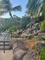 IMG_1396
