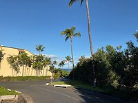 IMG_0388
