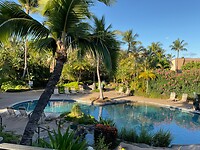 IMG_0390