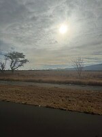 IMG_1423