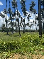 IMG_1662