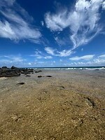 IMG_1758
