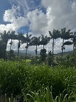 IMG_1755