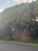 IMG_1736
