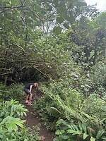 IMG_1731