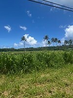 IMG_1727