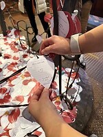 IMG_1870