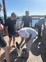 IMG_0334