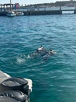 IMG_0345