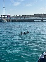 IMG_0346