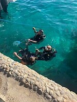 IMG_0347