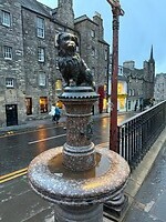 IMG_2113