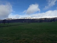 IMG_2121