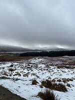 IMG_0545
