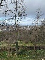 IMG_2190