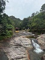 IMG_2478