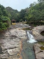 IMG_2469