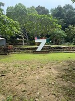IMG_2459