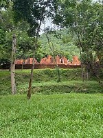 IMG_2916