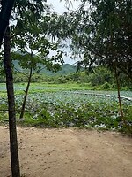 IMG_2924