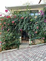 IMG_0531