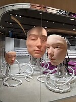 IMG_3133