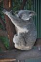 20090617-Cairns - Port Douglas-6141